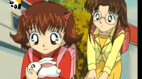 A Fortune Comes True!