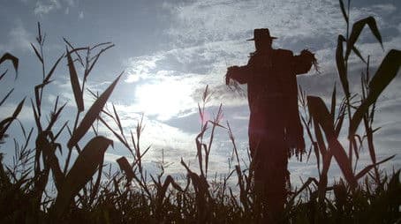 Scarecrow