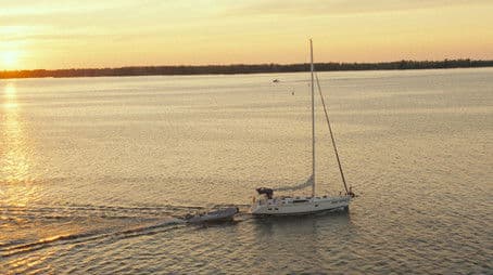 Never Missed a Pigeon