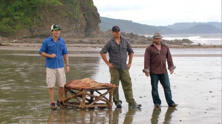 You're Looking at the New Leader of Your Tribe