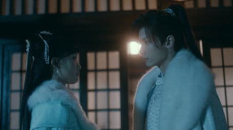 The Rise of Love Turmoil