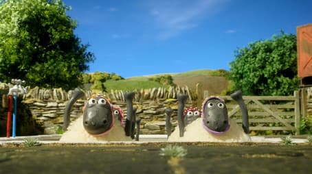 Synchronized Swimming