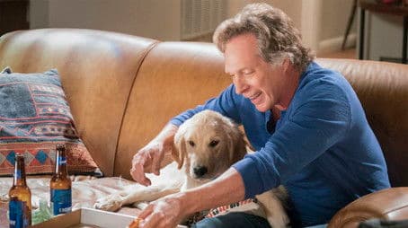 Phone Confetti and a Wee Dingle