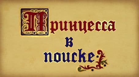 Princess is Searching