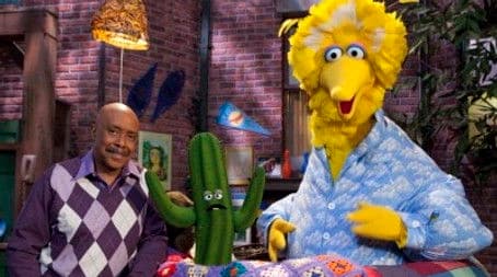 What's in Big Bird's Nest?