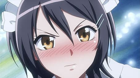 First Time Minding the Shop