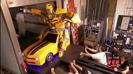 A Big Bumblebee & A Bossy Grace