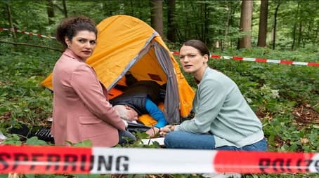 A Night in the Forest