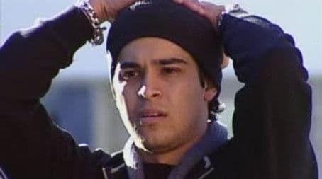 Jessica Alba, Wilmer Valderama, Tom Arnold