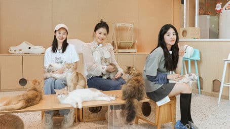 2024 · Daughter and Her Friends EP8