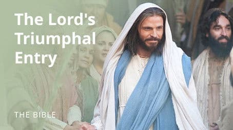 Matthew 21 | The Lord's Triumphal Entry into Jerusalem