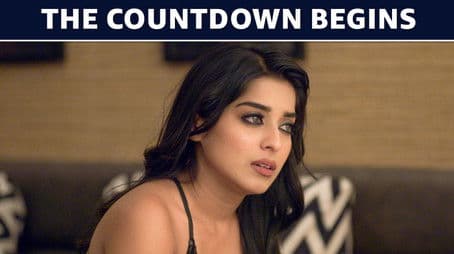 The Countdown Begins