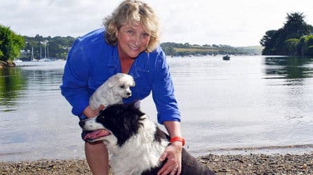 Dom Joly, Caroline Quentin, Gareth Thomas