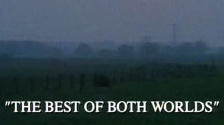 The Best of Both Worlds