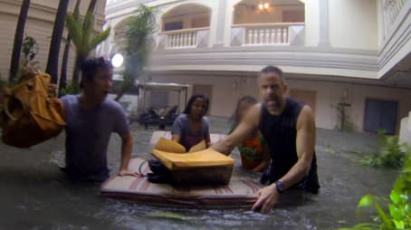 Incredible Survivors