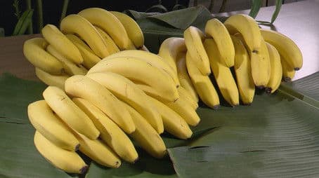 BANANAS