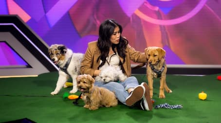 Fernsehquote: Die geheime Macht der Quotenbox