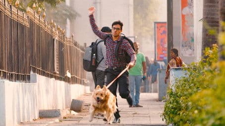 When Daridram Knocks Your Door