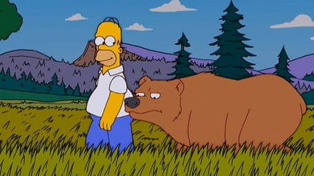 The Fat and the Furriest