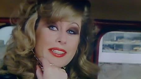 An Attractive Visitor