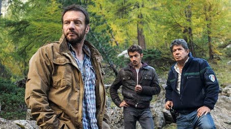 Like a Bird with no Wings