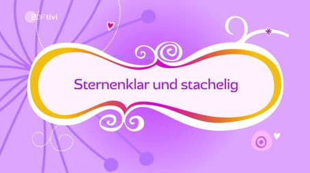 Starry Prickly Night