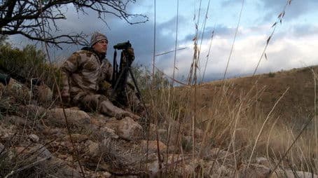 Stalking the Grey Ghost: Arizona Coues Whitetail Deer