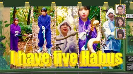 Nogizaka Under Construction in Okinawa Part 5 - Viper Hunting