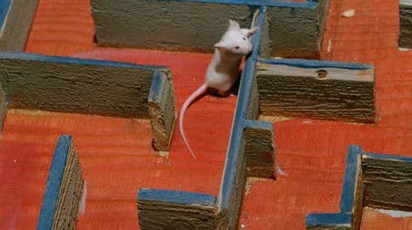 Dr. Winchester and Mr. Hyde