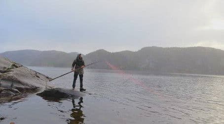 The primordial force of nature affects the participants