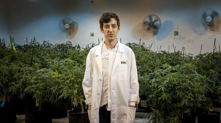 Beating Blindness & White Collar Weed