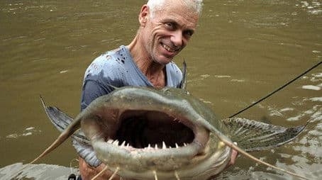 The Deadliest Catfish