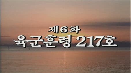 Military Directive No. 217