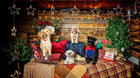 Christmas Special 2021