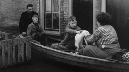 Episode 3: Struggle and Rise