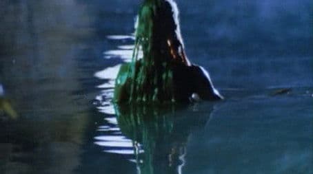 The Legend of the Swamp Maiden