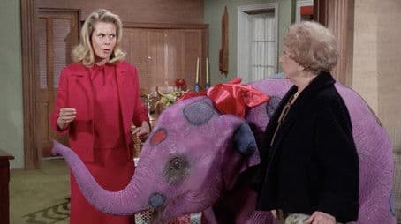 A Gazebo Never Forgets