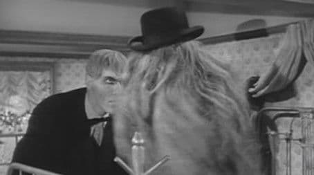 Cousin Itt and the Vocational Counselor