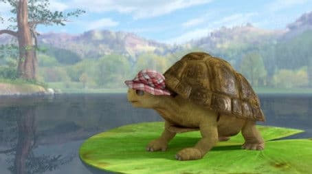 The Tale of the Great Tortoise Rescue