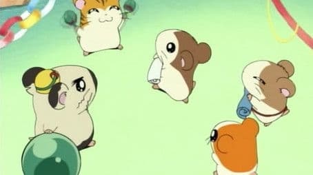 The Search for Sandy's Brother