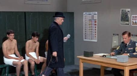 I Didn't Raise My Pig to Be a Soldier