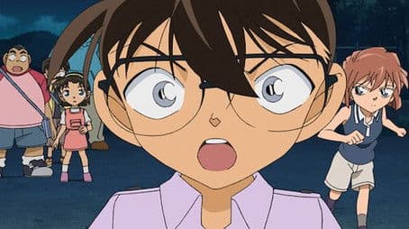 The Mountain Beetle Chase