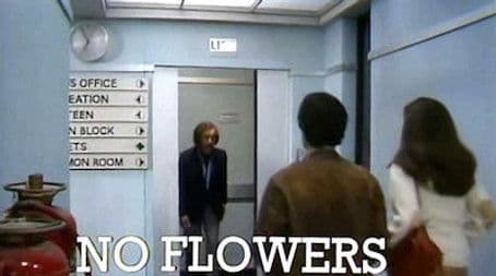 No Flowers by Request