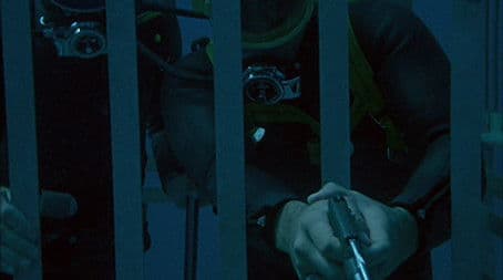 The Day of the Shark