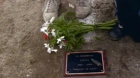 Valentine's Day Massacre