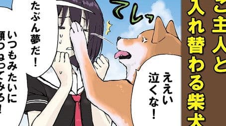 Figure of Speech / Role Reversal / Wind, Forest, Fire, Mountain