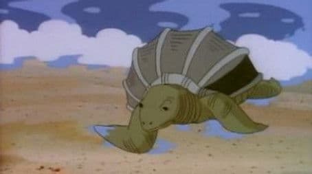 Turtles, Turtles Everywhere