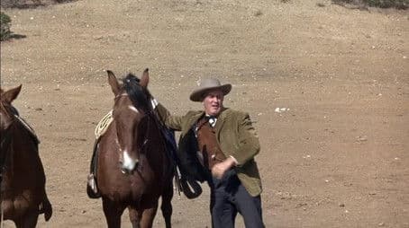 A Gallows for Sam Horn