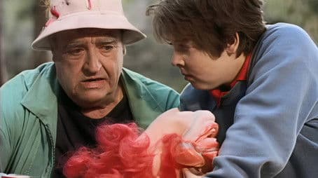 In the Custody of a Clown