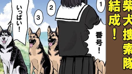 Absolutism / Encirclement / Reaction